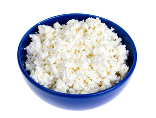 Homemade cottage cheese, dairy products. Studio Photo