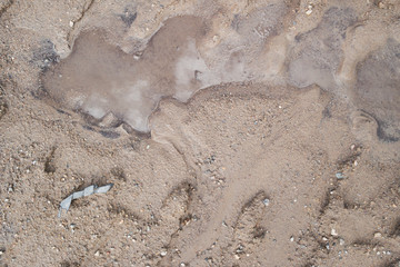 Grunge wet soil background. Autumn puddle. Soil texture.