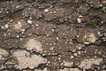 Asphalt road after rain. Asphalt background and texture. Copy space.