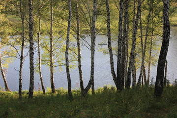 Obraz premium Nature