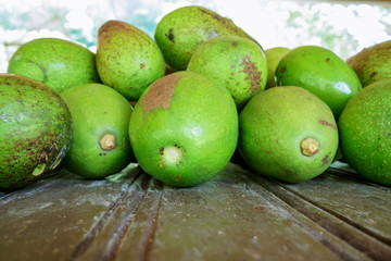 Los aguacates están grandes y casi maduros.