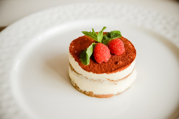 Tiramisu - Classical Dessert with Cinnamon and Coffee. Garnished with raspberry and Mint.