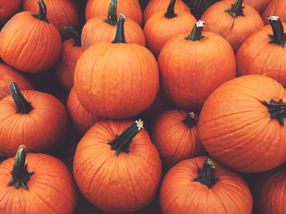 Fall Orange Pumpkins Harvest Background