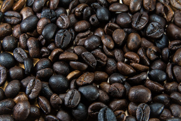 coffee seed on the wood table