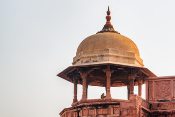 Scenic view of red sandstone octagonal tower with dome, Agra