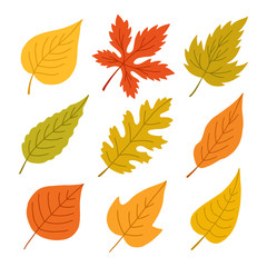 Obraz premium Set of autumn leaves.