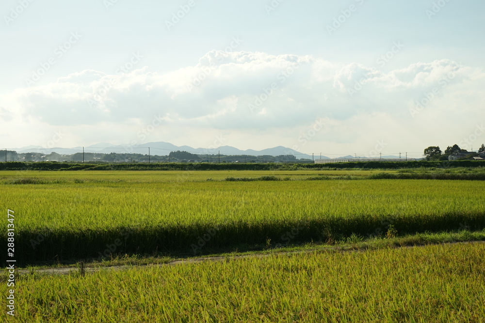 Poster 田園風景