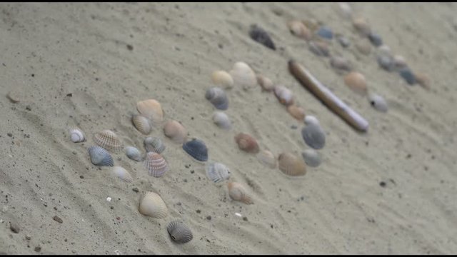 das beliebte ostfriesische "Moin" aus Muscheln gelegt