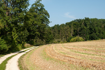 rural landscape with gravel road in swabian alb