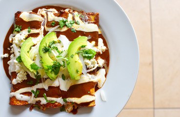 Delicious enchiladas of mole with cheese