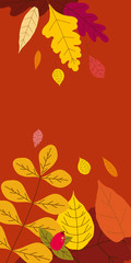 Fototapeta na wymiar Autumn template of autumn fallen leaves orange yellow foliage. Backgrounds social media stories banners