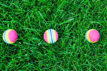 Fototapeta na wymiar Colored little balls for cats, dogs on green grass.