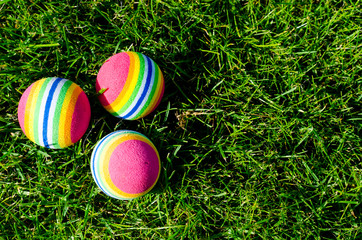 Colored little balls for cats, dogs on green grass.