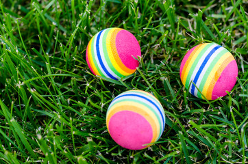 Colored little balls for cats, dogs on green grass.