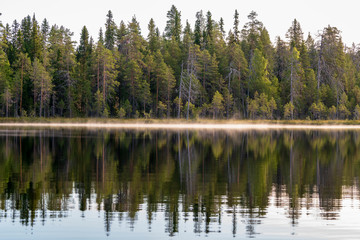 Fototapeta na wymiar Autumn with mirrored pine forest and misty Northern lake. Fog rises above the water at dawn. Finland, Scandinavia