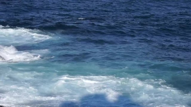 sea waves - video - water