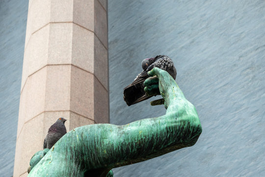 Closeup of two city pigeons sitting on a green bronze statue arm. One bird sleeping.