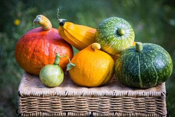 Pumpkins and gourds on a basket in autumn