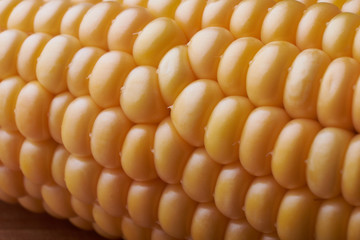 Photo of yellow corn background, abstract backgrounds, harvest season, healthy organic nutrition, maize cob, golden textured wallpaper, fresh prepared grain, tasty vegetable, vegetarian meal