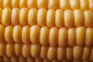 Photo of yellow corn background, abstract backgrounds, harvest season, healthy organic nutrition, maize cob, golden textured wallpaper, fresh prepared grain, tasty vegetable, vegetarian meal