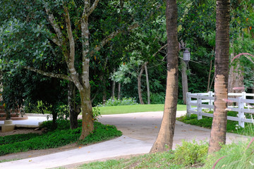 Obraz premium A quiet and shady path in a farm village