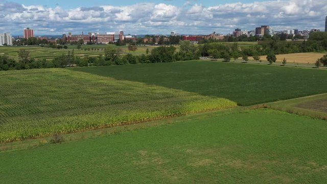 Aerial of Ottawa's Experimental Farm summer crops