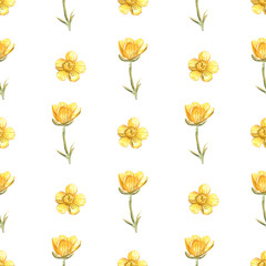 Buttercup watercolor pattern. Hand drawn illustration on a white background.