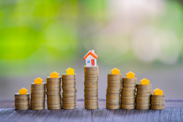 Plants and coins for watering can be used to guide financial growth 