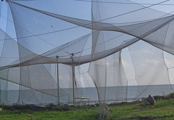 Fototapeta premium Nets in the birds ringing station in Vente cape, Lithuania