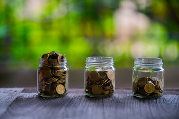 Plants and coins for watering can be used to guide financial growth 