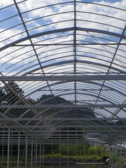 Construction of a green house