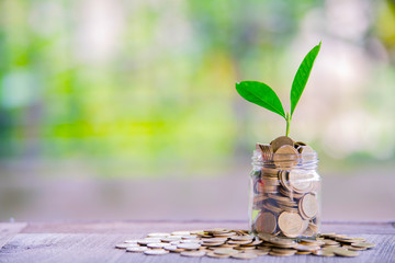 Cropping on coins - investment ideas for growth