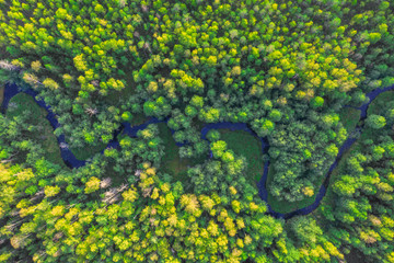 Little River In Forest At Sunset Time. Aerial view.
