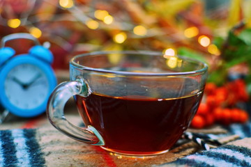 Glass cup of tea warm autumn plaid scarf on blurred background of blue classic alarm clock and...