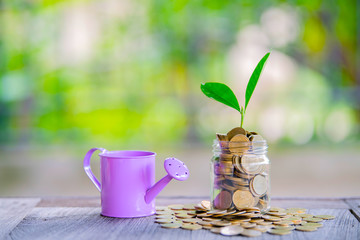 The hands of women holding watering can sprinkle coins 