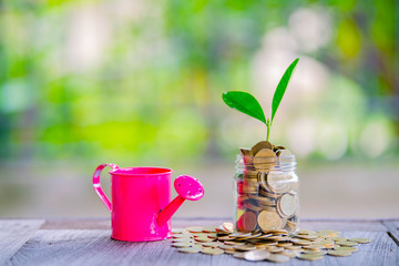 The hands of women holding watering can sprinkle coins 