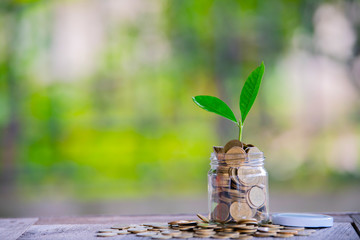 Glass jar with coins Plant seedlings grow on bottles - investment ideas for growth
