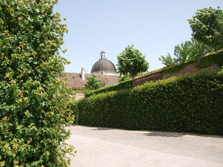 high hedge along the passage in the Park against the roof of an old Church on a Sunny day