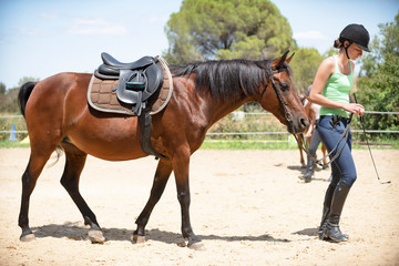 Fototapeta premium riding girl and horse