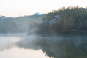朝靄が発生している天理の池