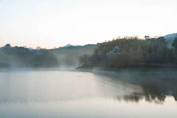 早朝に朝靄が発生している天理の池