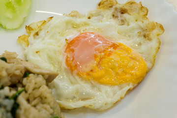 fried egg