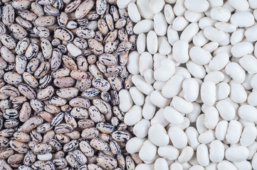 White bean varieties Chali and speckled beans pinto closeup varieties. Macro shot.