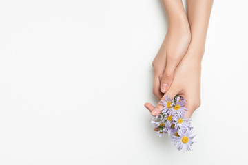 female hands hold daisies. Thin wrist and natural manicure. White background
