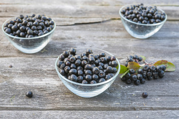 Black chokeberry