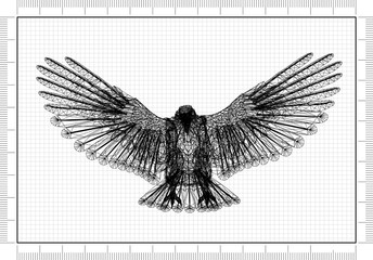 eagle Blueprint