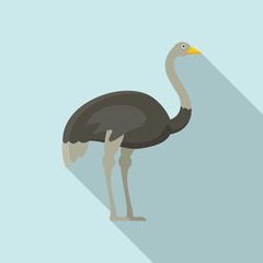 Grey ostrich icon. Flat illustration of grey ostrich vector icon for web design