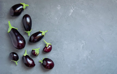 Ripe eggplants of different sizes on a gray concrete background. Top view.