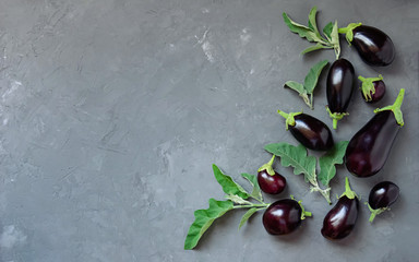 Ripe eggplants of different sizes on a gray concrete background. Top view.
