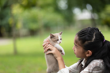 Obraz premium Asian young girl holding kittens in the park Happy child in nature during the summer. Cats and family. Friendship and childhood memory.